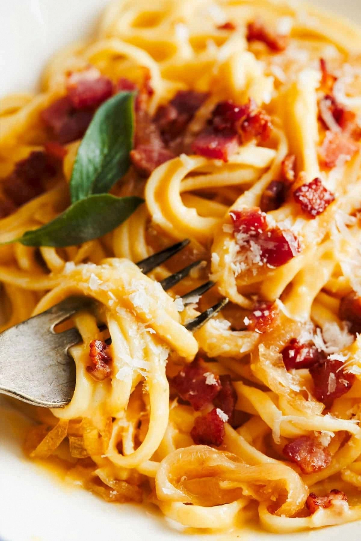 Creamy Squash Fettuccine with 