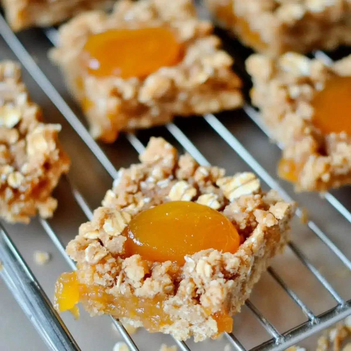 Delicious Apricot Oatmeal Crumble Bars in 6 Easy Steps