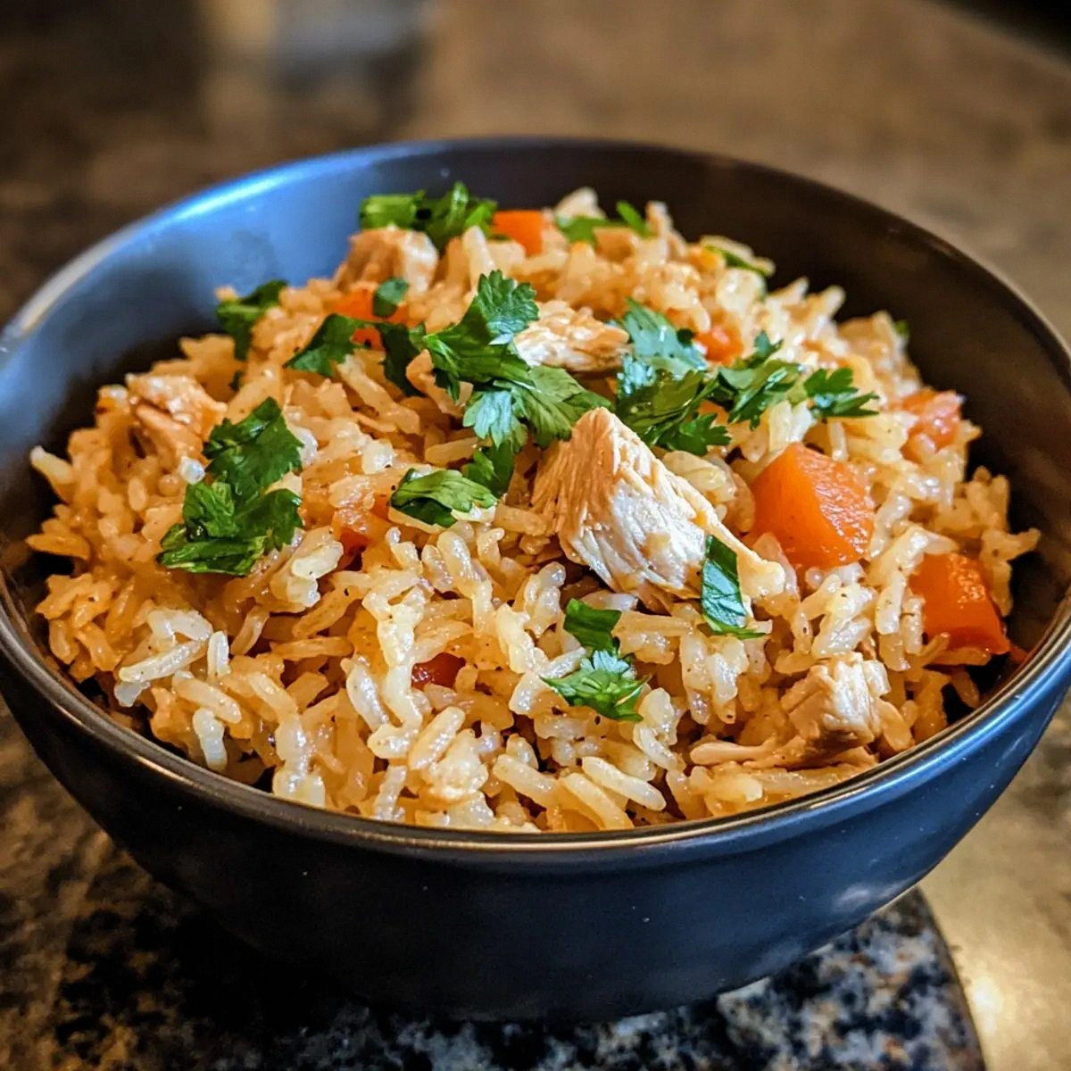 Easy Instant Pot Turkey Rice R