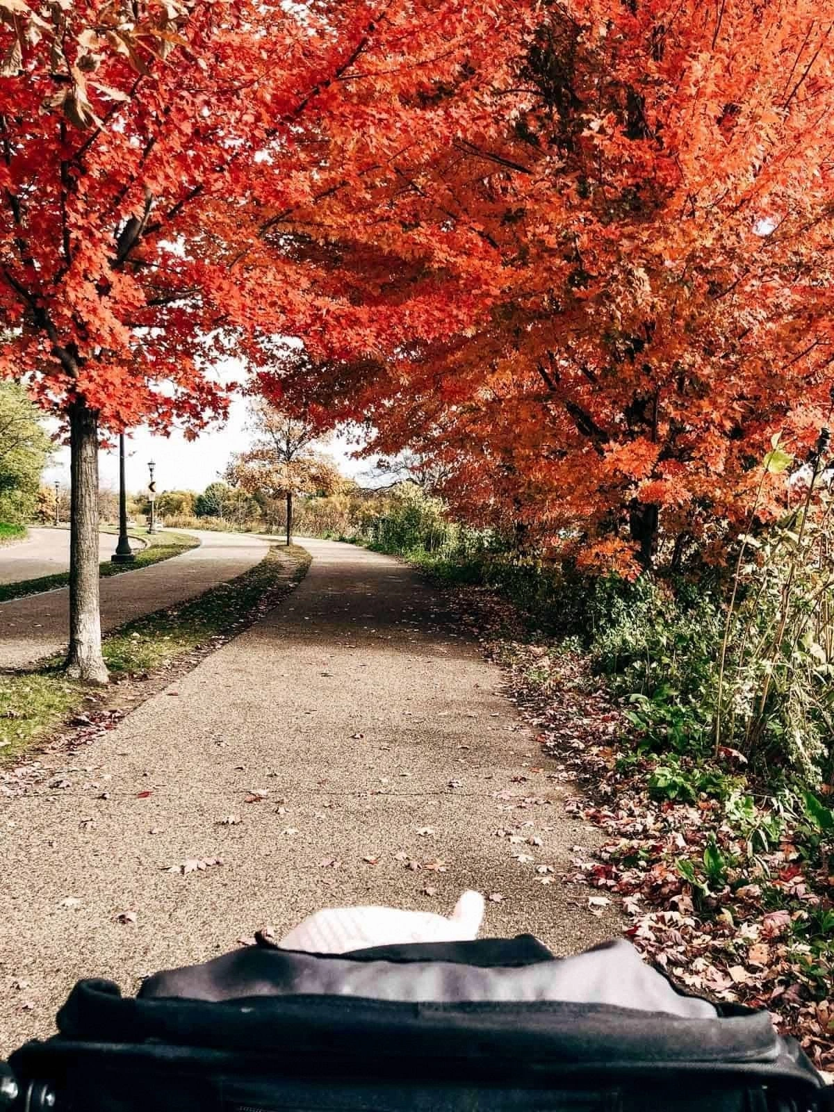 October-November Coffee Date