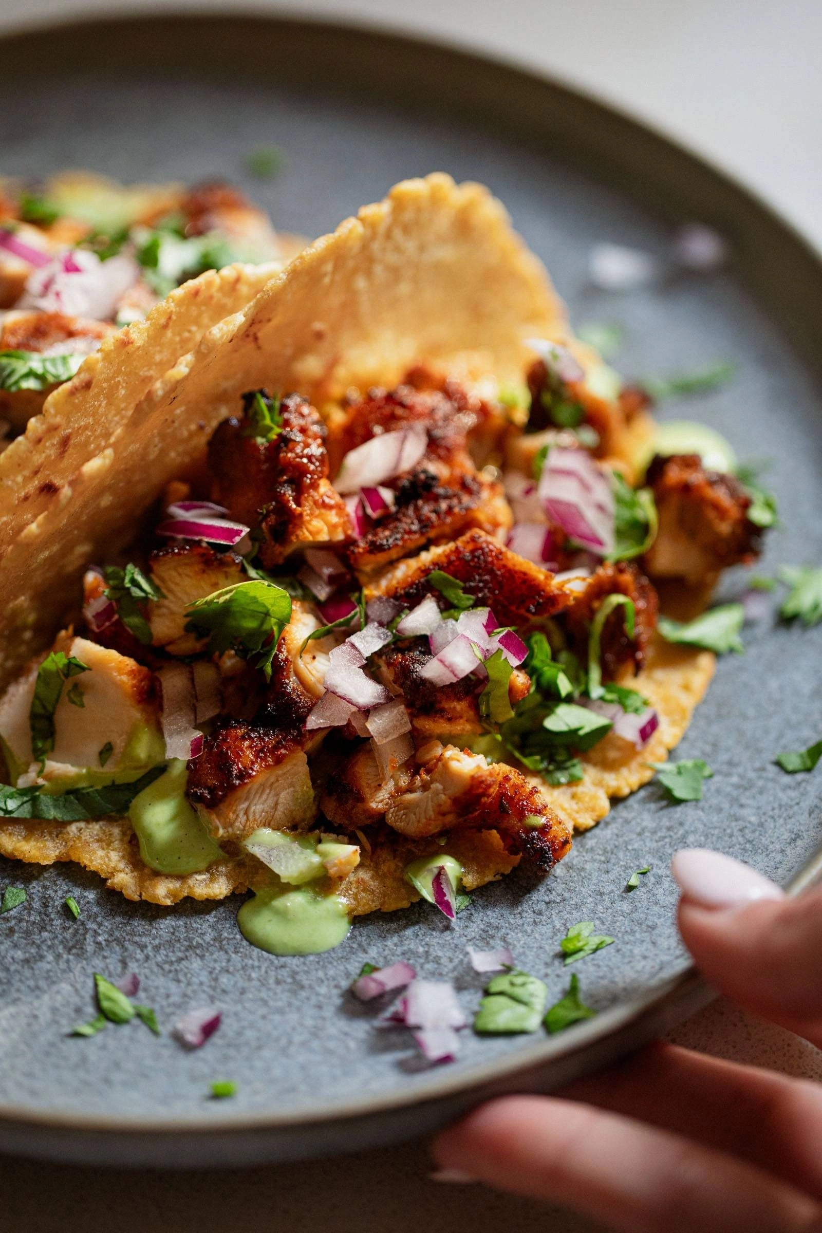 Ridiculously Good Chicken Taco